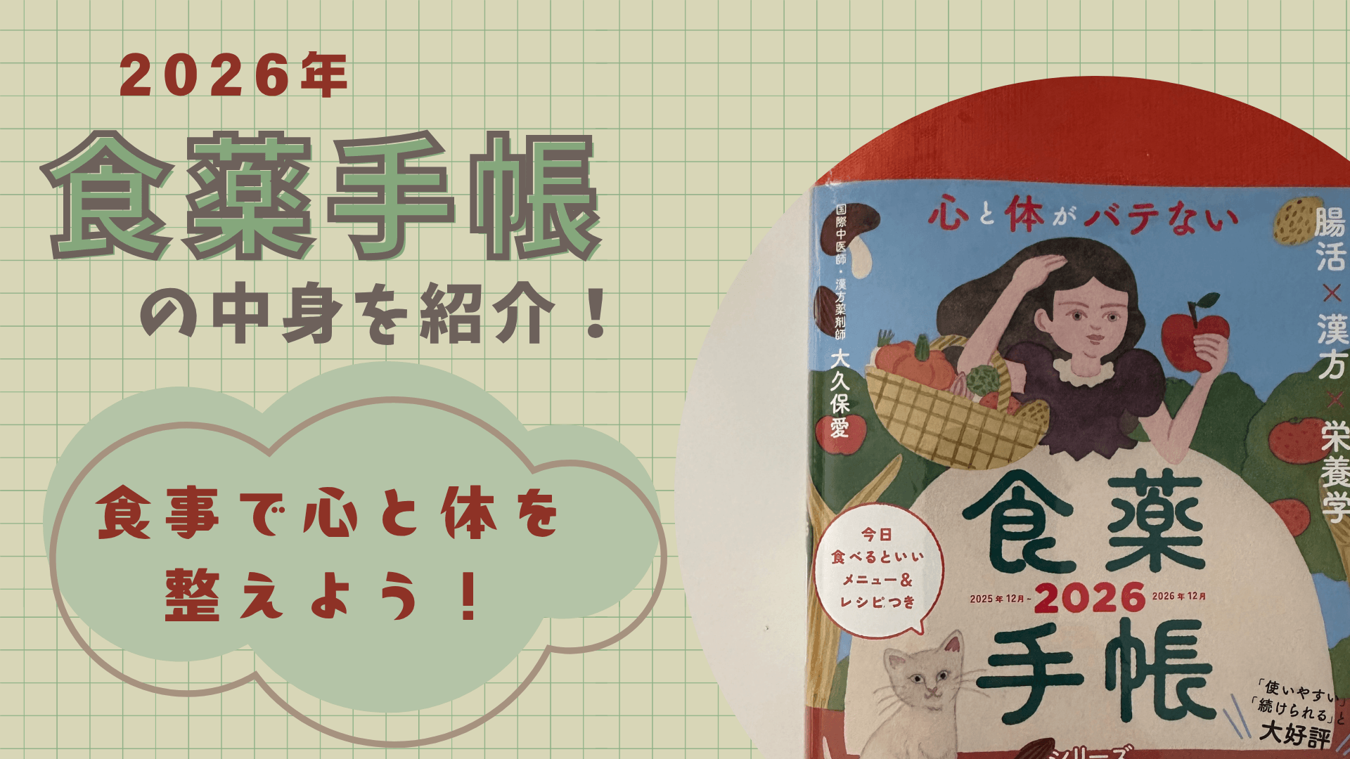 食薬手帳ってどんな手帳？実際に使ってみた感想と中身紹介と続けるコツ！